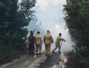 Türkiye extends benefits to wildfire volunteers