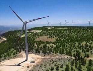 Türkiye’s renewable power capacity tops 74 GW as of August