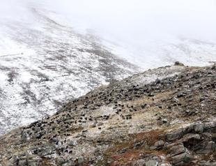 Early snowfall blankets Türkiye’s high peaks in white