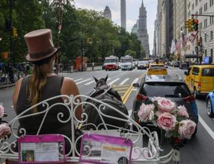Central Park horse-drawn carriages face ride into the sunset