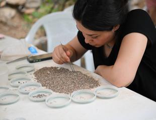 Epipaleolithic-era beads unearthed in Direkli Cave