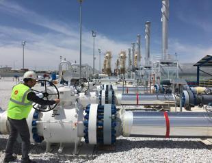 LNG deals to curb reliance on Russia, says association chief