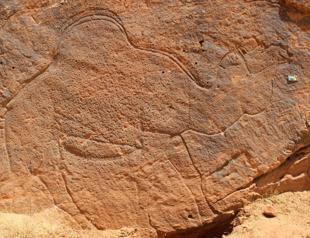 Life-size animal rock carvings found in Saudi Arabian desert