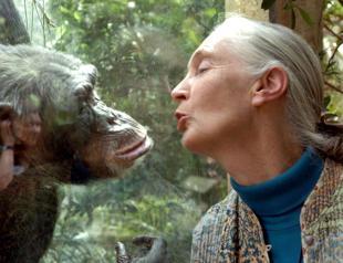 Jane Goodall: Crusader for chimpanzees and the planet