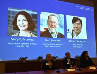 Nobel Prize in Medicine goes to 3 scientists for work on peripheral immune tolerance