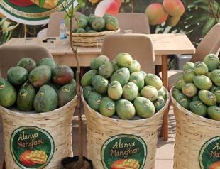 Alanya emerges as Türkiye’s tropical fruit hub