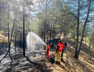 Wildfires destroy 80,000 hectares across Türkiye this year