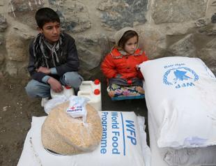 Aid cuts ‘risk pushing 13.7 mln people into extreme hunger’