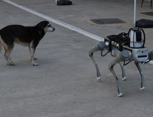 Türkiye develops ‘robot dog’ to join inventory by early 2026