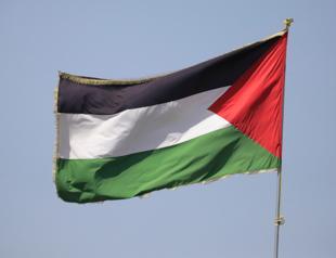 OIC urges Security Council to back Palestines full UN membership