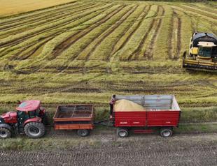 TARSİM pays out over $640 million in agricultural insurance claims
