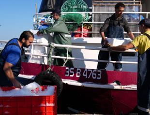 Aegean fishermen struggle to find crew members despite high wages