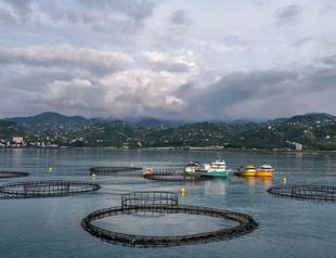 Black Sea teams collect 2 tons of waste amid ghost net search