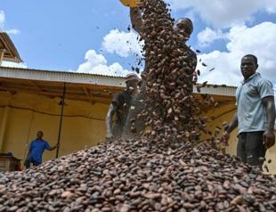 NGOs accuse coffee giants of human rights abuses