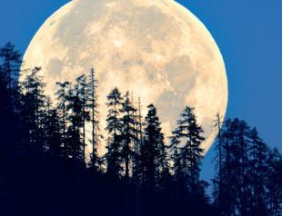 Supermoon to light up night sky as closest of the year