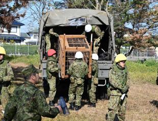 Japan deploys troops after wave of deadly bear attacks