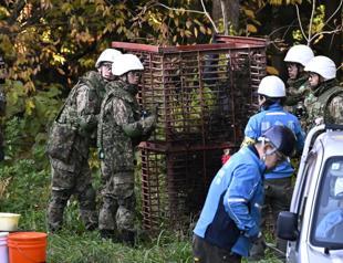 Japan deploys army to counter a surge in bear attacks