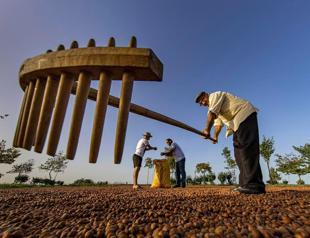 Authority revises Ferrero’s purchase commitments