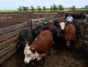 Beef and bananas: US unveils Latin America trade deals
