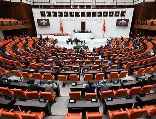 Parliamentary commission to tackle juvenile crime issue