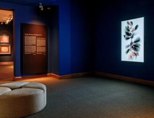 SSM adds new work to its collection