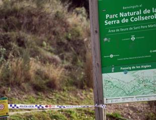 Spain fights economic damage from African swine fever