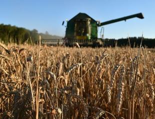 EU reaches accord on new generation of GM crops