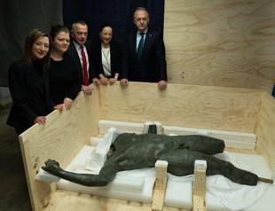 Emperor statue, Demosthenes head to return from US