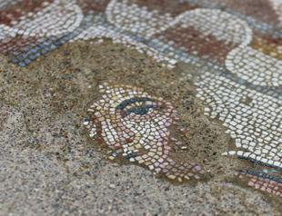 Mosaic-floored reception hall unearthed in Hadrianopolis