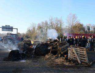 French farmers block roads over cow disease cull