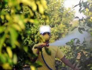 Türkiye bans online, over-the-counter pesticide sales