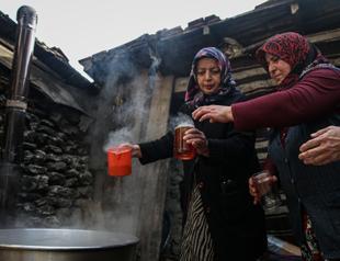 Uludağ women turn boil pine cones into prized ‘pekmez’