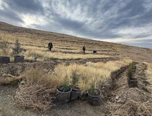 Afforestation drive launched in Iğdır to tackle Türkiye’s worst air pollution