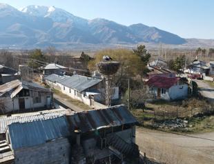 Storks of Binkoç village to spend another winter in their nests