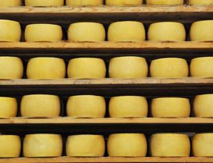 A cheese story stretching from Urfa to America