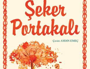 Türkiye’s top court recognizes translator rights in book title dispute