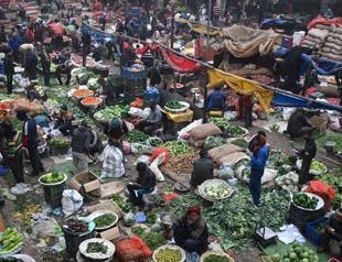 Global food prices up 4.3 pct in 2025, says FAO