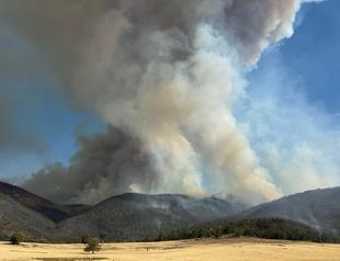 Scores of homes razed, one dead in Australian bushfires