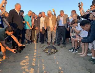 Sea turtle conservation efforts bear fruit at key nesting beach in Muğla