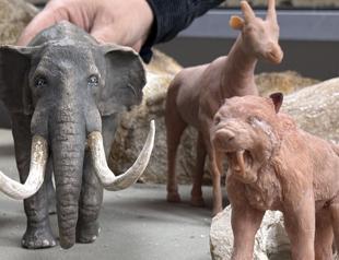 Ancient megafauna fossils recreated with 3D technology