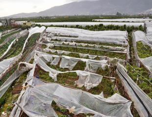 Antalya authorities mobilize amid severe rain, tornado damage