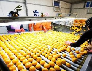 Fresh produce exports see minimal returns: Ministter