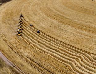 Türkiye expects record wheat production amid recent rainfall
