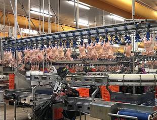 Trade Ministry halts chicken exports ahead of Ramadan