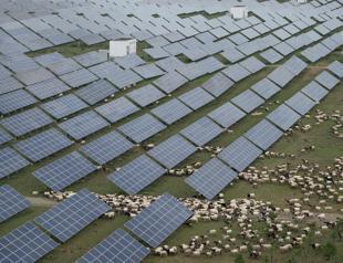 Solar, wind capacity growth slowed last year: Analysis