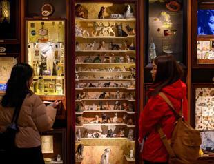 Crowds flock to Istanbuls Museum of Innocence before TV adaptation