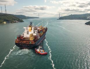 Exports total $20.3 billion in January, down 4 percent: TÜİK