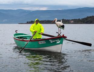 Beloved stork ‘Yaren’ returns for 15th year to reunite with fisherman friend