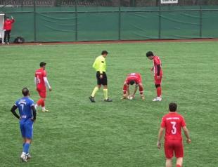 Turkish footballer hailed as hero after saving stunned seagull