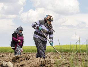Türkiye’s registered farmers rise by 190,000 in five years